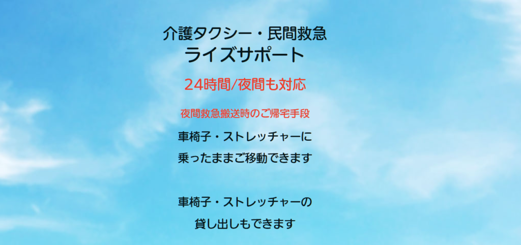 ライズサポート