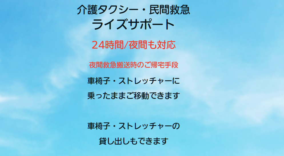 ライズサポート